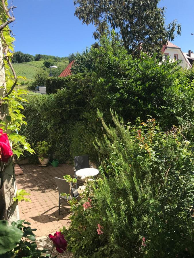 Gartenwohnung 贡德尔芬根 外观 照片